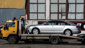 Audi na lawecie to rzadki widok / Fot: Włodzimierz Wasyluk