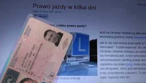 Uwaga! Jeżeli kupiłeś prawo jazdy, to ci je zabiorą