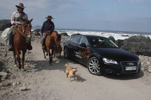 "Polskie" audi wzbudzały sensacje w Chile