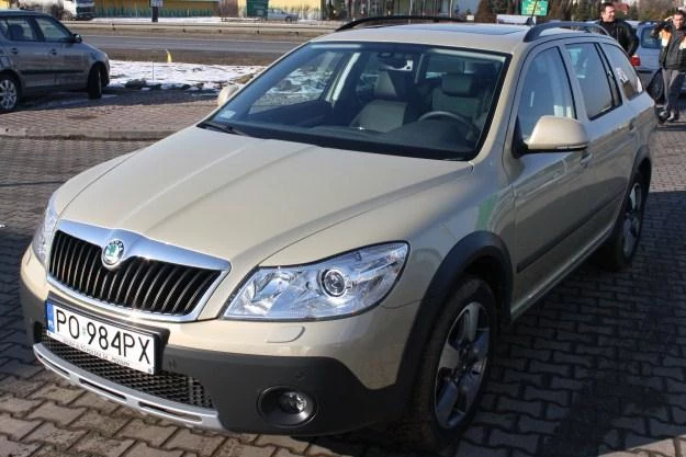 Skoda octavia scout