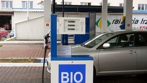 Tylko biopaliwa mogą być tańsze