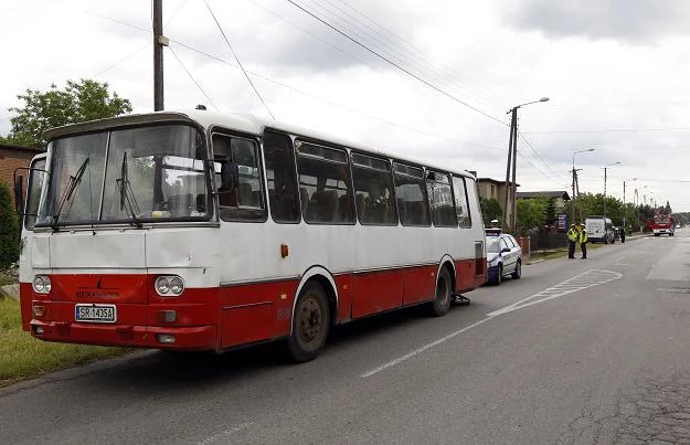 Autobus nie wyhamował przed przejściem