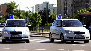 Szkołom przybędzie roboty papierkowej / Fot. Adam Stępień