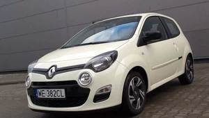 Renault twingo z lwim pazurem