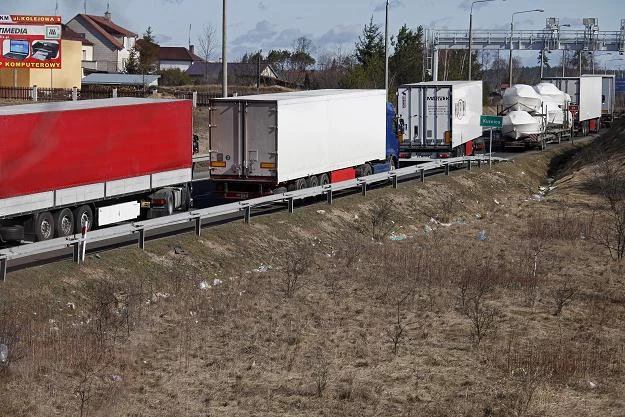 Wszyscy narzekamy na ciężarówki. Ale bez nich nie da się życ