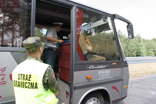 Stan autobusów się poprawia, z busami jest źle / Fot: Robert Stachnik