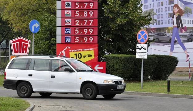 Czy 6 zł za litr "pęknie"? / Fot: Włodzimierz Wasyluk