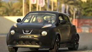 Juke-R i nismo - po raz pierwszy w Polsce!