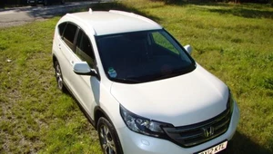 Nowa honda CR-V. Ewolucja a nie rewolucja