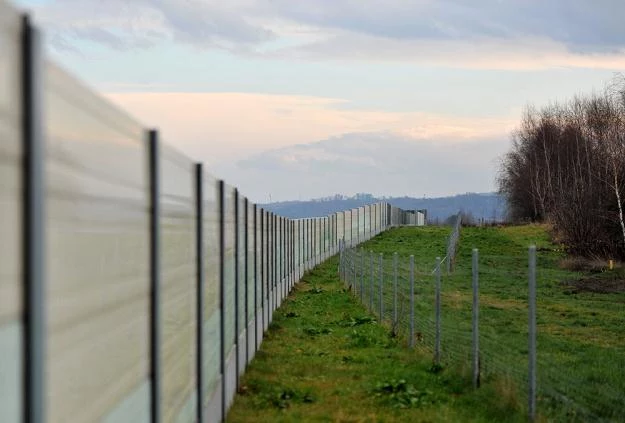 Ekrany na autostradzie A4. Z drugiej strony las... / Fot: M. Lasyk