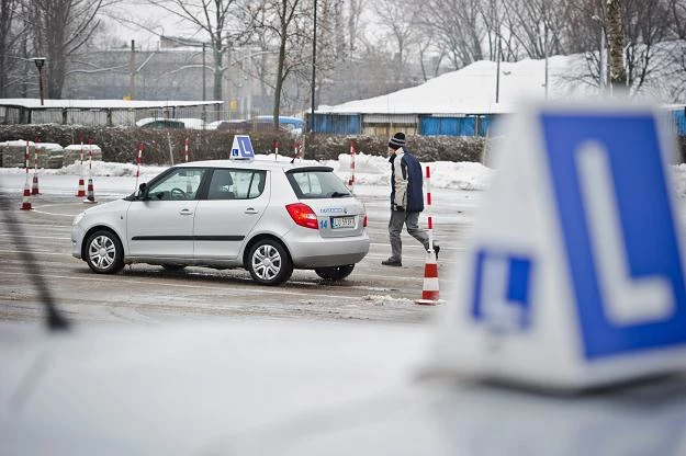 Już nie tylko praktyka, ale i teoria jest postachem kandydatów na kierowców