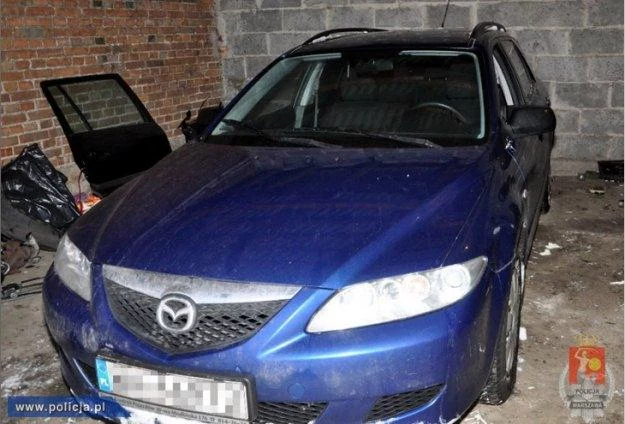 Mazda 6 znaleziona w dziupli