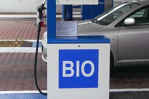 Biopaliwo budzi wiele kontrowersji