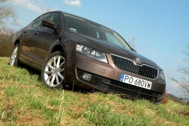 Nowa Skoda Octavia