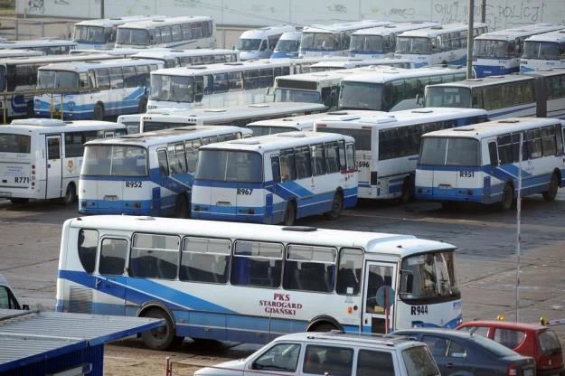 Prawo jazdy kategorii D pozwala na jaztę autobusem. Ale pustym! / Fot: Wojciech Stróżyk