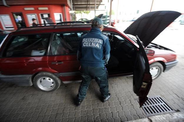 Passat to ulubiony samochód mrówek / Fot: Wojciech Stróżyk