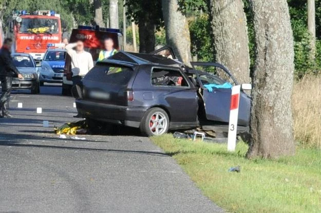 Już zderzenie z prędkością 50 km/h może okazać się śmiertelne