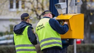 Straże miejskie nadal będą zajmować się fotoradarami  /Fot: Lech Gawuc