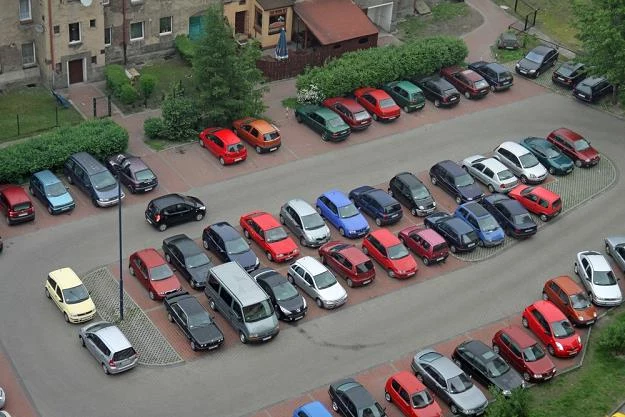 Jak utrzymać porządek na parkingu? / Fot: Adrian Slazok