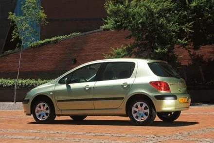 14. Peugeot 307 - skradzione 224 egzemplarze