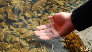 Zanieczyszczenie Czarnej Przemszy (zdjęcie ilustracyjne)