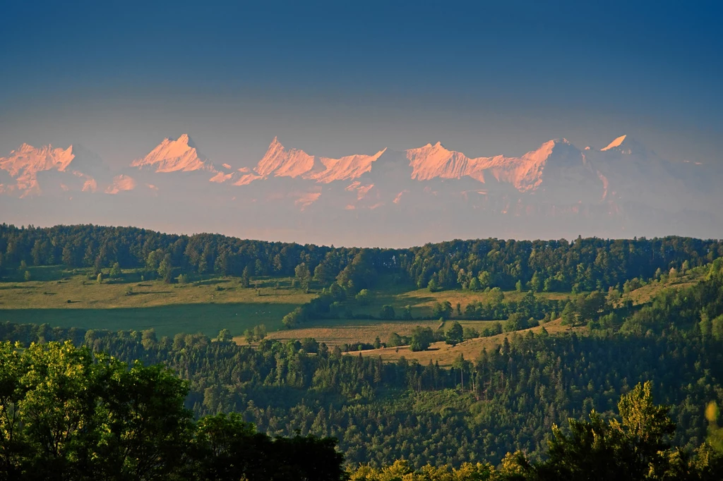 W Parku Krajobrazowym Thal zobaczysz całą panoramę Alp