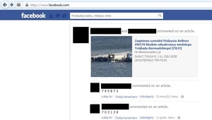 Malezyjski Boeing odnaleziony - kolejne oszustwo na Facebooku