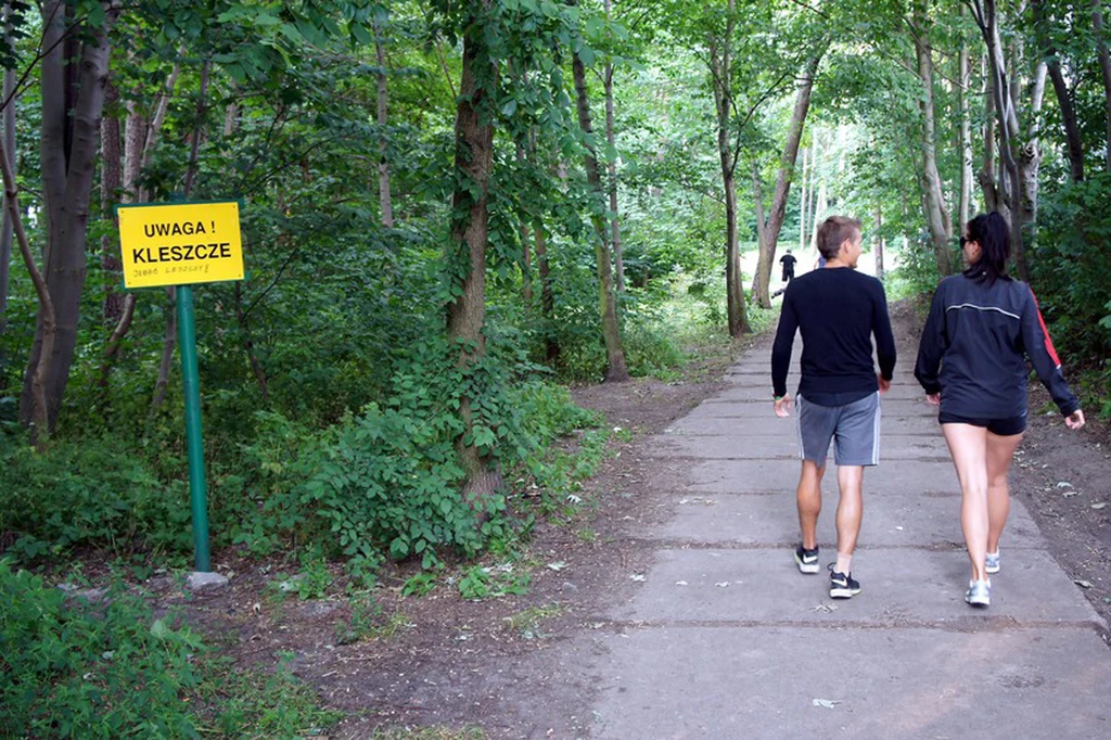 Sezon wędrówek już się rozpoczął. Warto zadbać o profilaktykę