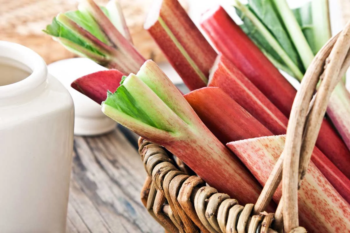 Jest niskokaloryczny i pełen witamin. Sezon już trwa, więc jedz regularnie Jest niskokaloryczny i pełen witamin. Sezon już trwa, więc jedz regularnie