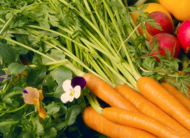 Poznaj znakomitą przyprawę, która pozwala zachować kolor warzyw