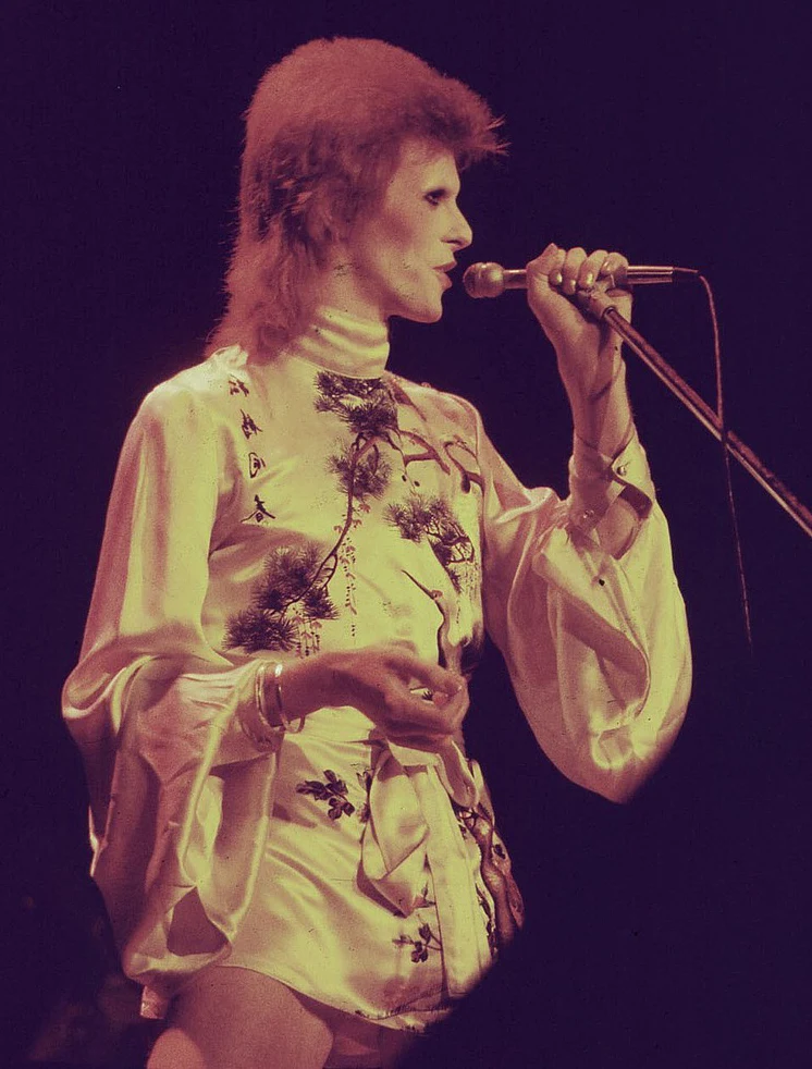 David Bowie David Bowie