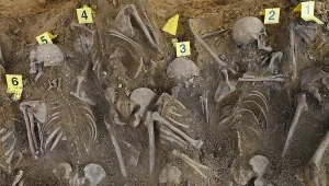 Ofiary zbrodni UB pod posadzką chlewni