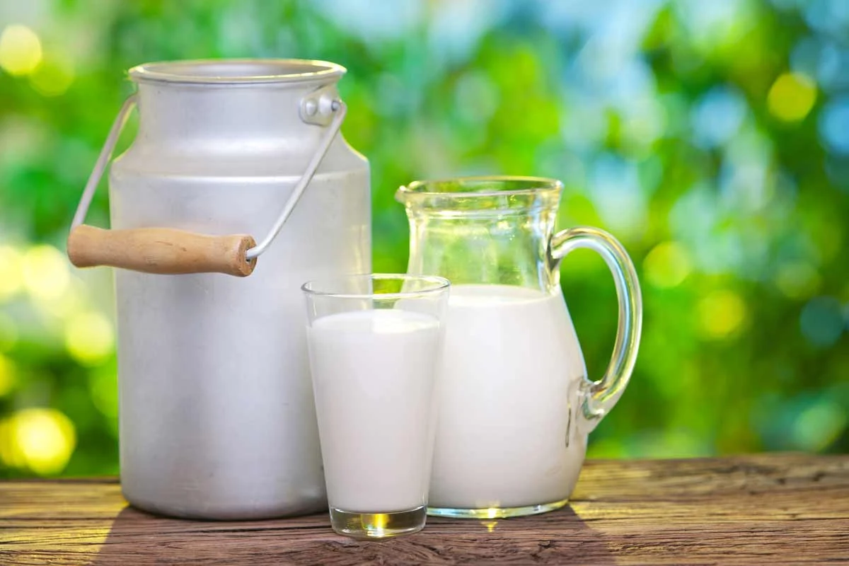 Odżywka z mleka wzmocni jukę i pobudzi ją do wzrostu