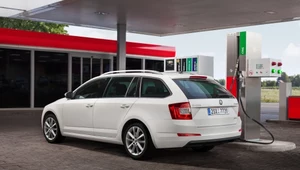 Skoda Octavia G-TEC. Przejedzie 100 km za 20 zł!