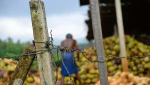 Co najmniej 150 mld dolarów zysków rocznie przynosi na całym świecie praca niewolnicza, szacuje ONZ