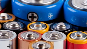 Gdzie wyrzucać zużyte baterie? Polska jest w czołówce Unii Europejskiej