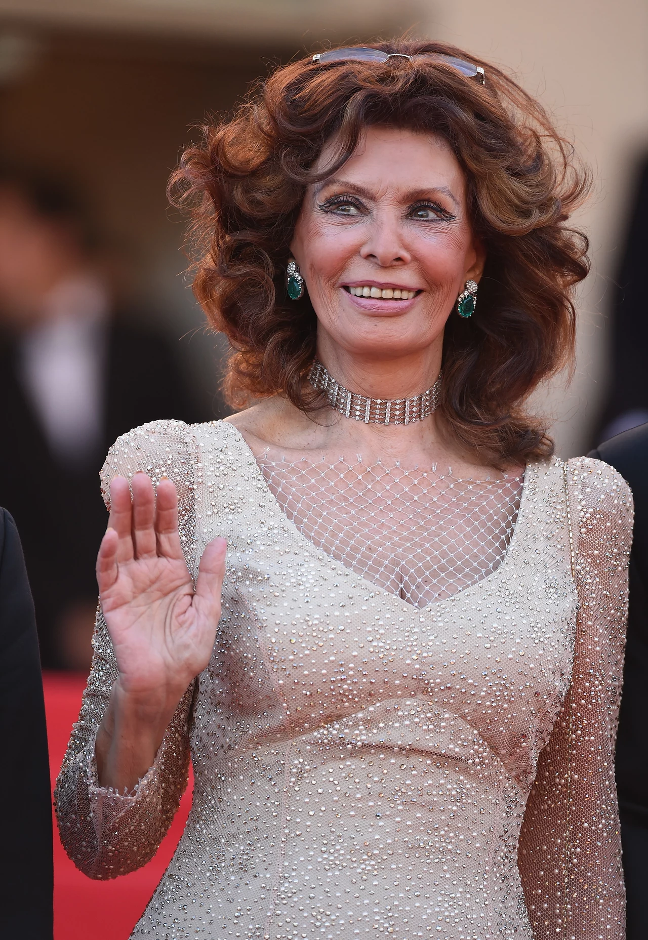 Sophia Loren Sophia Loren