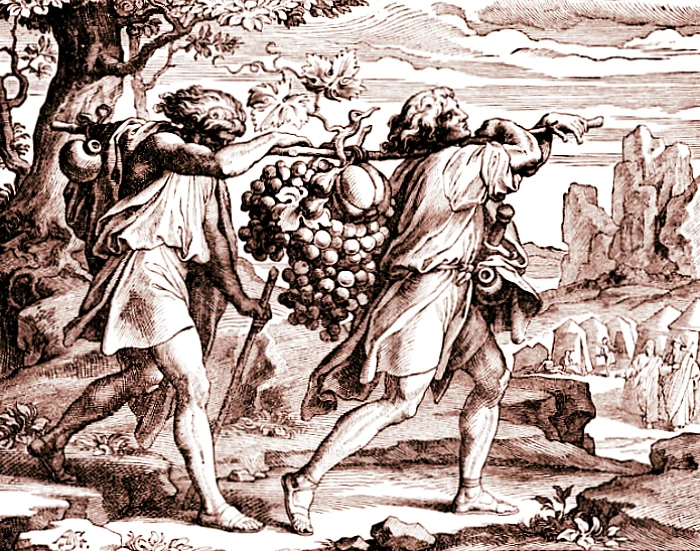 Pierwsi szpiedzy zdobywali informacje dla samego Boga i jego sług... Pierwsi szpiedzy zdobywali informacje dla samego Boga i jego sług...