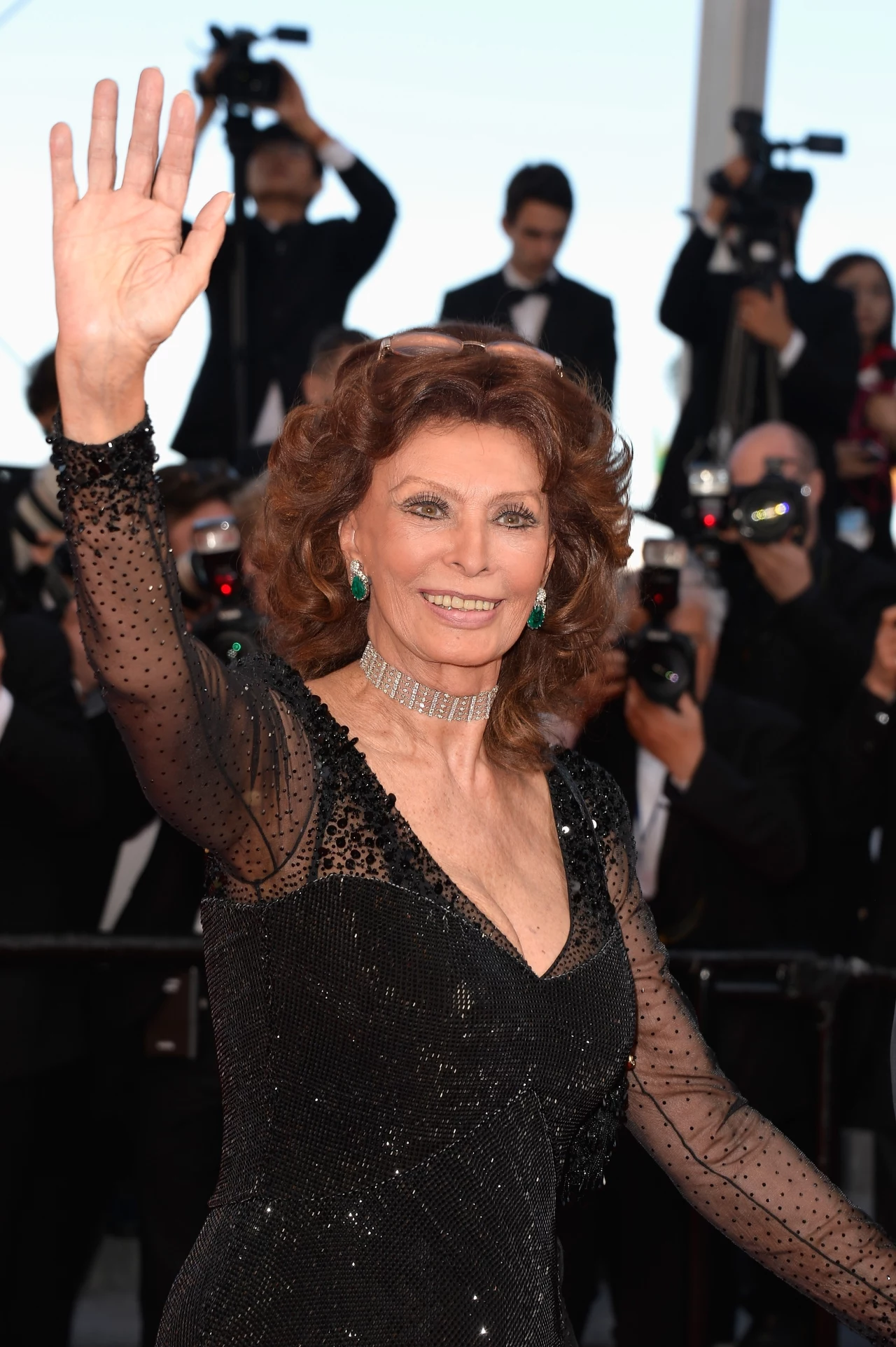 Sophia Loren Sophia Loren