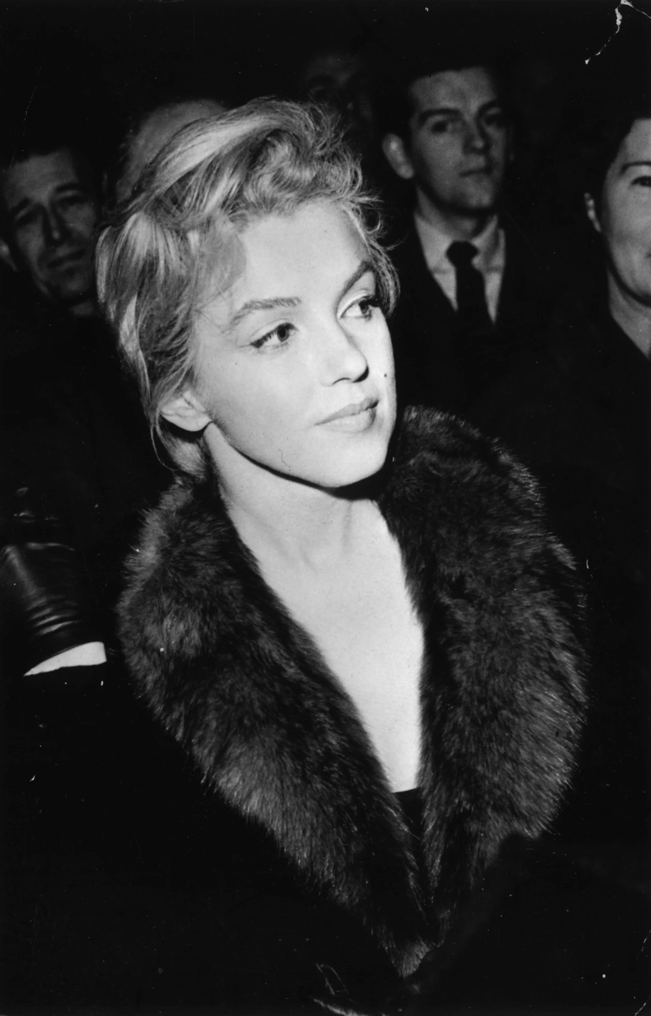 Marilyn Monroe Marilyn Monroe