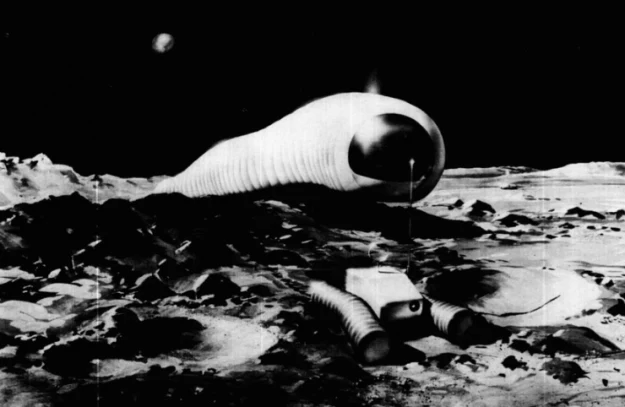 "Księżycowa larwa" - wizualizacja "Księżycowa larwa" - wizualizacja