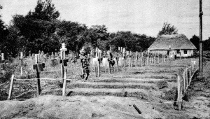 Groby poległych ułanów pod Rokitną