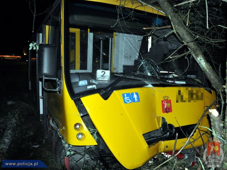 Autobus zakończył jazdę na drzewie