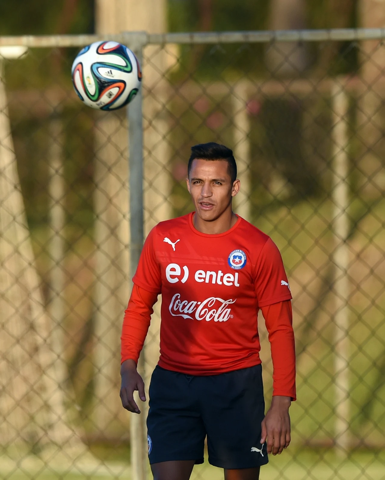 Alexis Sanchez i spółka dołożyli pracy pannie Doll. Alexis Sanchez i spółka dołożyli pracy pannie Doll.