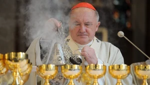 Kardynał Kazimierz Nycz 