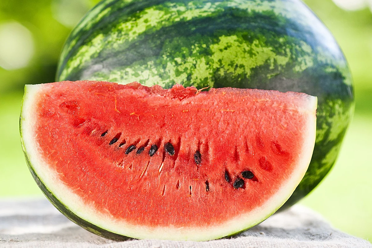 Arbuzy są zdrowe nie tylko dla ludzi, ale i dla innych roślin. Lepiej nie marnować skórki arbuzów po wyjedzenie miąższu. 