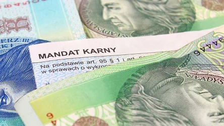 ​Takim drewnem nie pal w piecu. Grozi ci kilka tysięcy mandatu