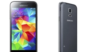 Samsung Galaxy S5 mini 