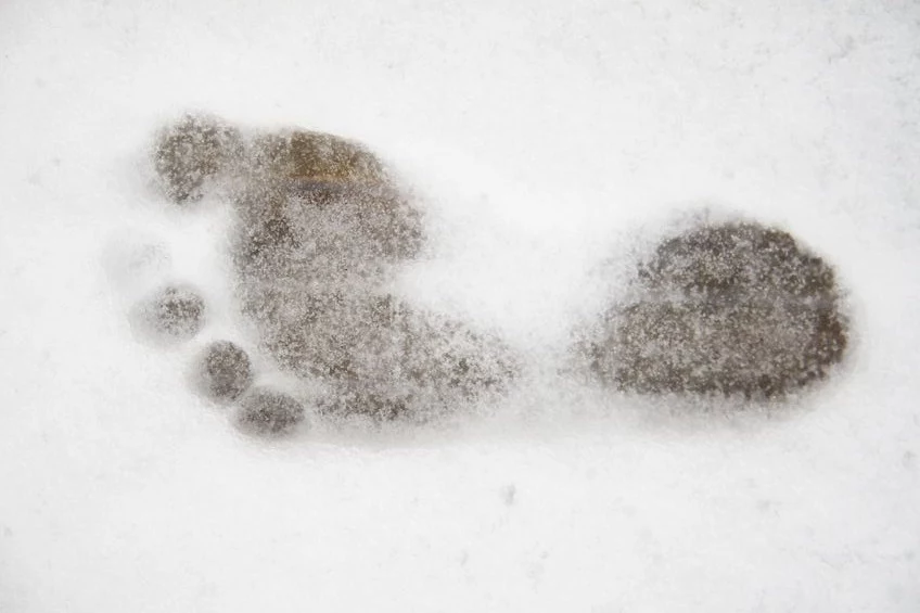 Według najnowszych badań naukowych, Yeti nie istnieje