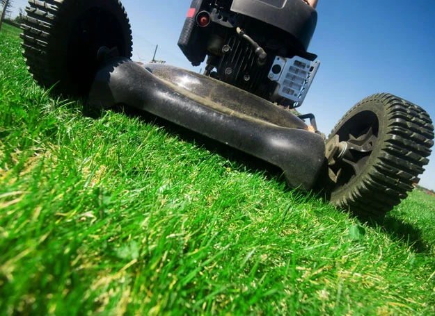 Równo zasiany trawnik ma wiele zalet. Pięknie wygląda, a w dodatku łatwiej się go kosi